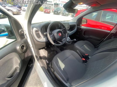 Fiat Panda 1.0 firefly hybrid Icon s&s 70cv (5)