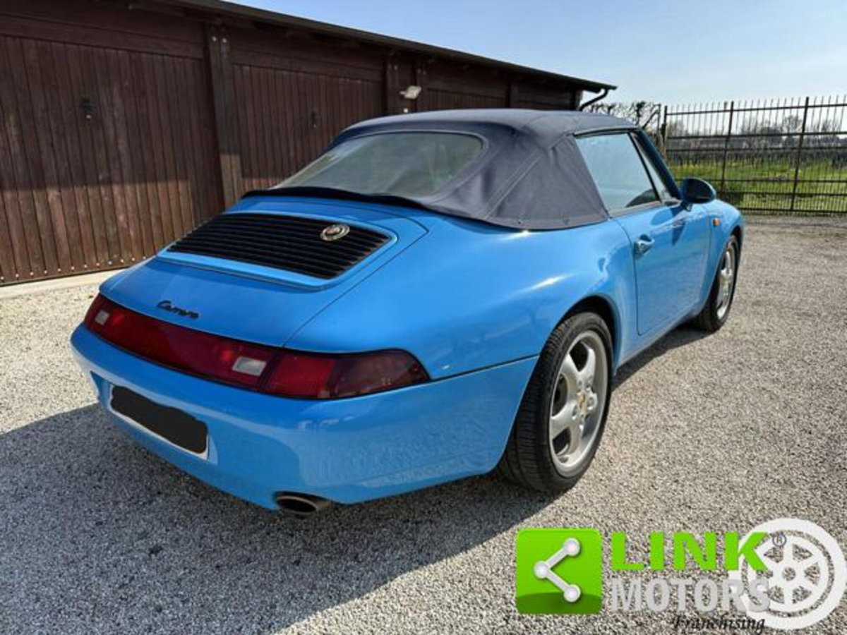 Porsche 911 Cabrio Carrera cat (7)
