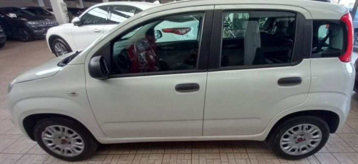 Fiat Panda 1.2 GPL Van Dynamic 4 posti (N1) (2)