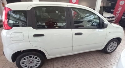 Fiat Panda 1.2 GPL Van Dynamic 4 posti (N1) (3)