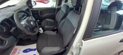 Fiat Panda 1.2 GPL Van Dynamic 4 posti (N1) (5)