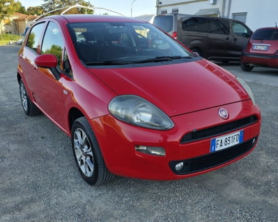 Fiat Punto 1.4 8V 5 porte Natural Power Lounge usata