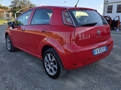 Fiat Punto 1.4 8V 5 porte Natural Power Lounge (4)