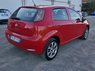 Fiat Punto 1.4 8V 5 porte Natural Power Lounge (6)
