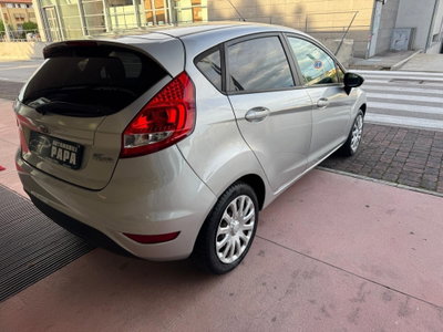 Ford Fiesta 1.2 82 CV 5 porte Titanium (3)