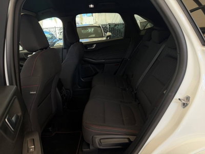 Ford Kuga 1.5 EcoBlue 120 CV 2WD ST-Line (12)
