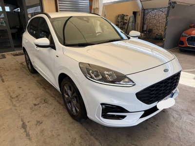 Ford Kuga 1.5 EcoBlue 120 CV 2WD ST-Line (2)