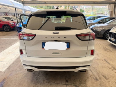Ford Kuga 1.5 EcoBlue 120 CV 2WD ST-Line (6)