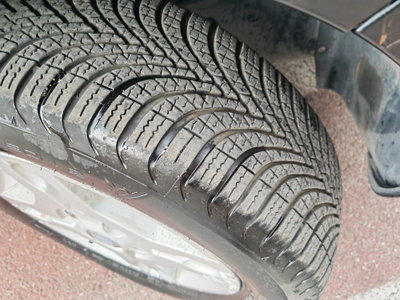 Fiat Panda 1.2 Climbing Natural Power (11)