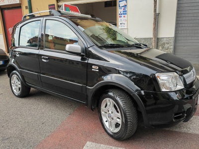 Fiat Panda 1.2 Climbing Natural Power (3)