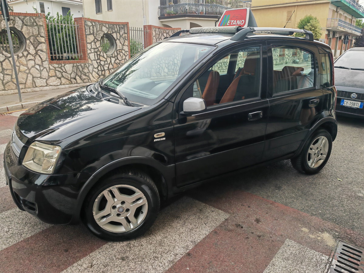 Fiat Panda 1.2 Climbing Natural Power (4)