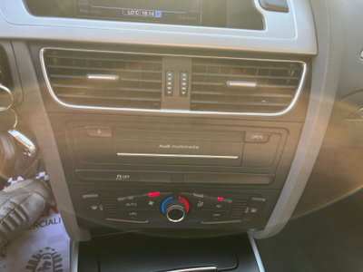 Audi A4 Avant 2.0 TDI 120 CV Advanced (14)