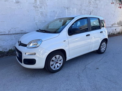 Fiat Panda 1.2 Pop usata