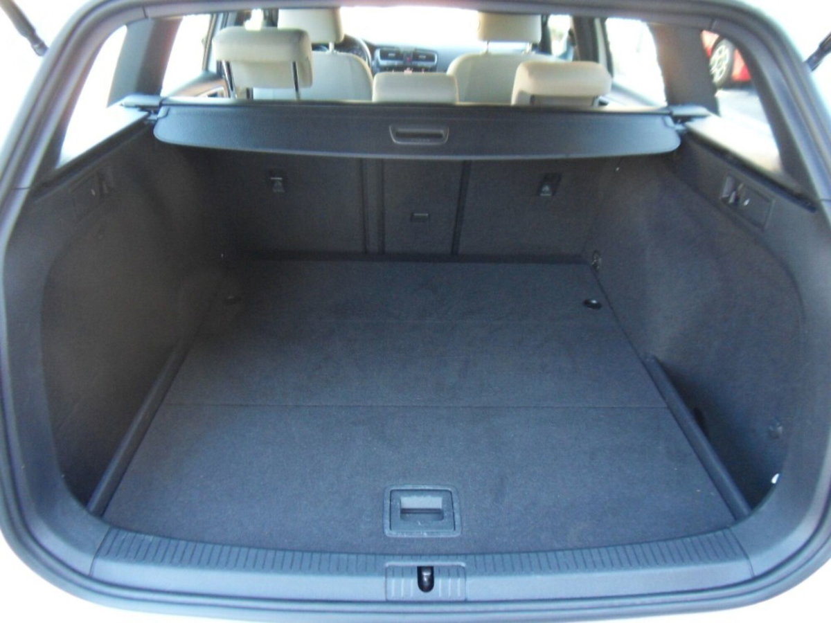 Volkswagen Golf Variant 1.6 TDI 115 CV Business BlueMotion Technology (17)