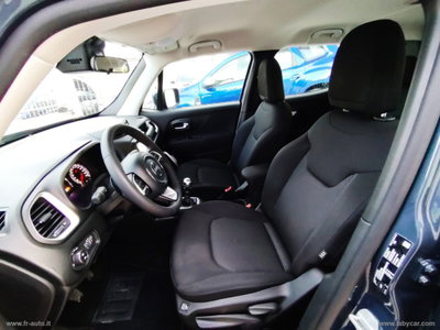 Jeep Renegade 1.6 Mjt 130 CV Business (11)