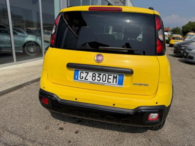 Fiat Panda Cross Cross 1.0 FireFly S&S Hybrid (3)