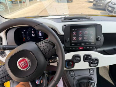 Fiat Panda Cross Cross 1.0 FireFly S&S Hybrid (5)