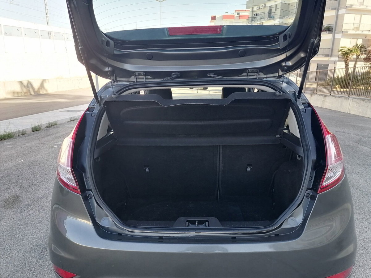 Ford Fiesta 1.5 TDCi 75CV 5 porte Titanium (14)
