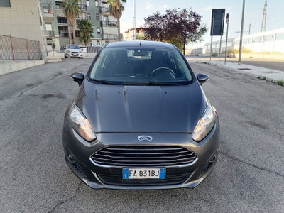 Ford Fiesta 1.5 TDCi 75CV 5 porte Titanium (2)