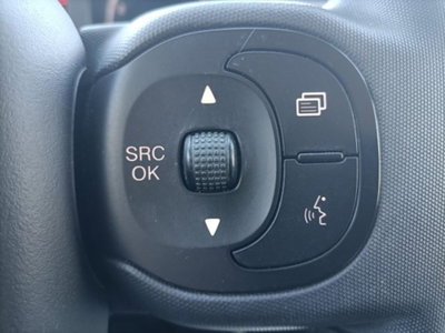 Fiat Panda 1.0 firefly hybrid s&s 70cv 5p.ti (14)