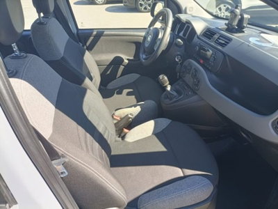 Fiat Panda 1.0 firefly hybrid s&s 70cv 5p.ti (4)