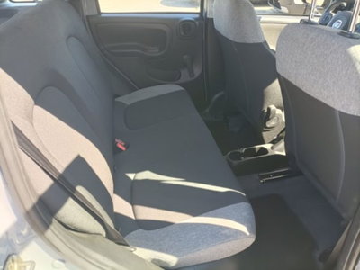 Fiat Panda 1.0 firefly hybrid s&s 70cv 5p.ti (5)