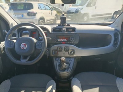 Fiat Panda 1.0 firefly hybrid s&s 70cv 5p.ti (6)