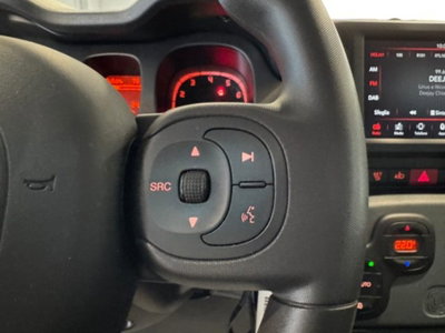 Fiat Panda Cross 1.0 firefly hybrid Cross s&s 70cv 5p.ti (6)