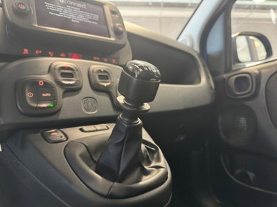 Fiat Panda Cross 1.0 firefly hybrid Cross s&s 70cv 5p.ti (7)