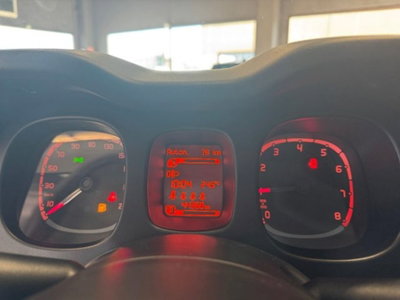 Fiat Panda Cross 1.0 firefly hybrid Cross s&s 70cv 5p.ti (9)