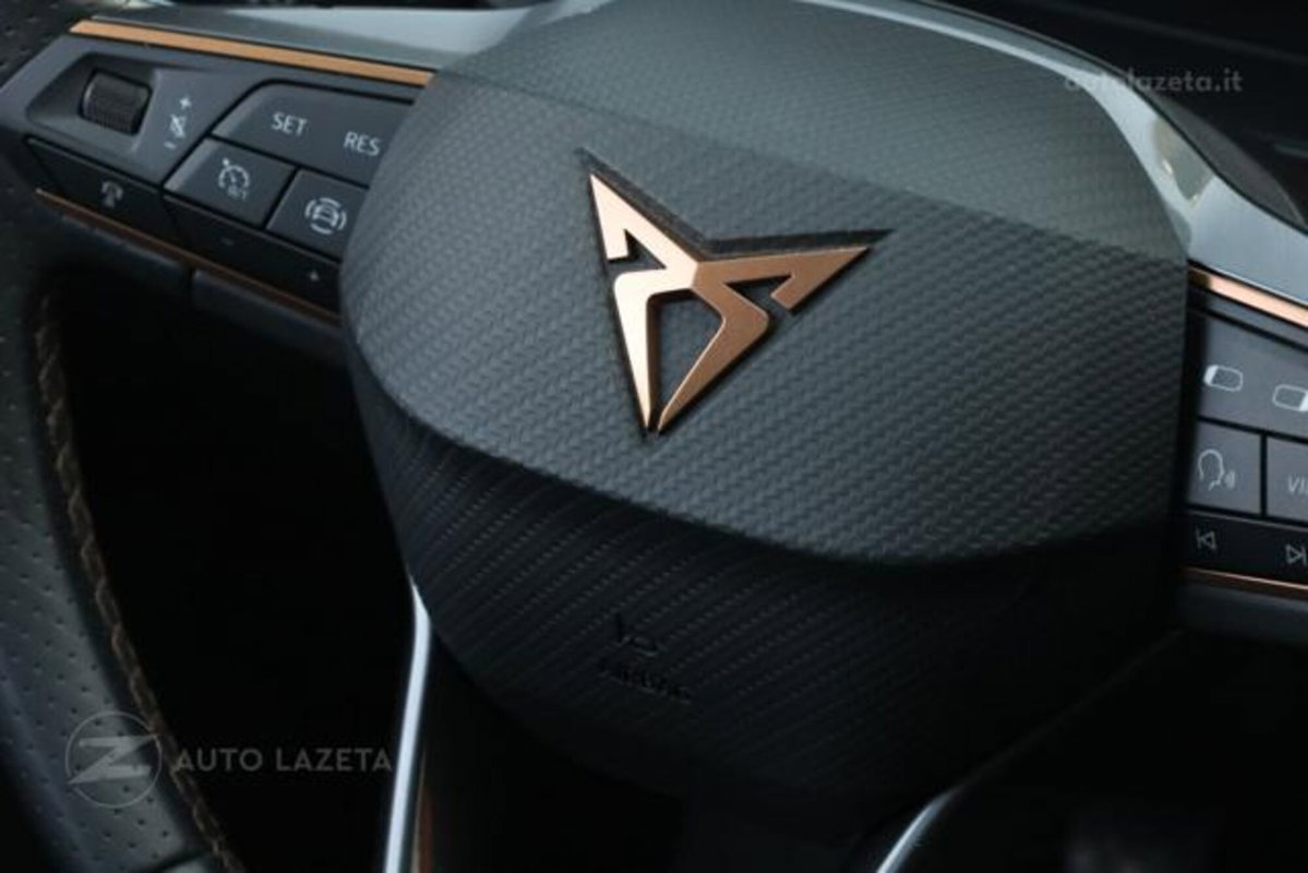 Cupra Formentor Formentor 1.5 TSI (15)