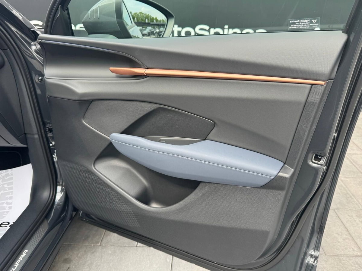 Cupra Terramar 1.5 hybrid 150cv dsg (20)