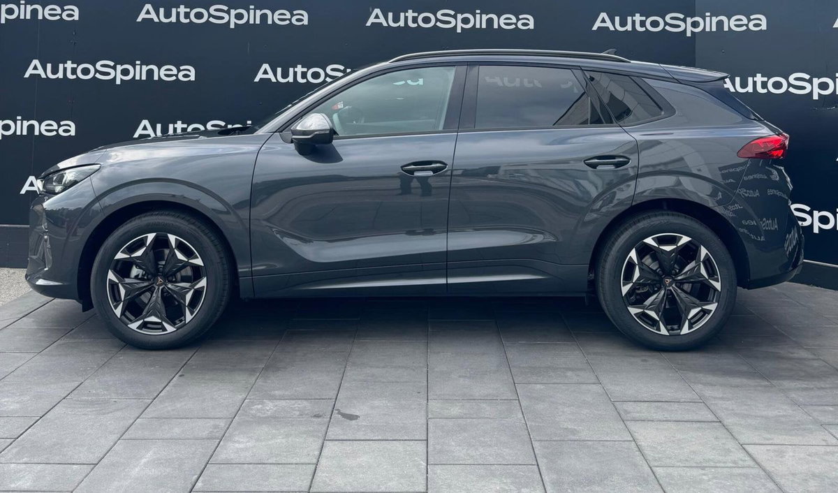 Cupra Terramar 1.5 hybrid 150cv dsg (3)