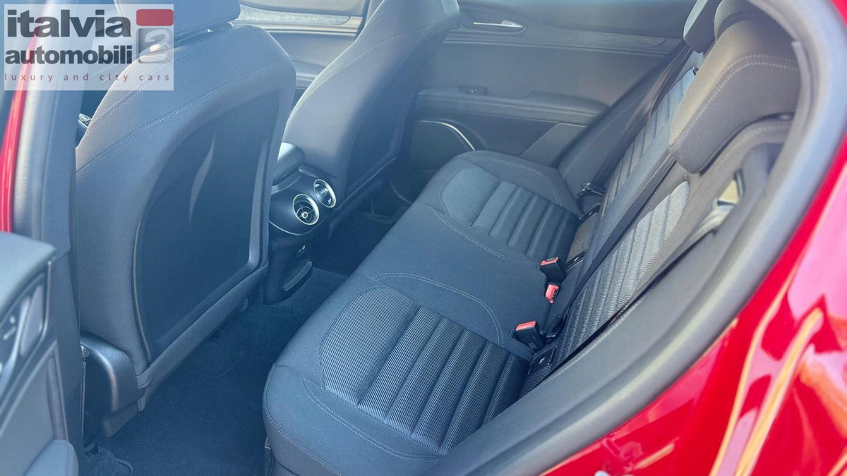 Alfa Romeo Stelvio Stelvio 2.2 Turbodiesel 160 CV AT8 RWD Super Business (9)