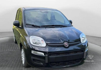 Fiat Panda Cross Cross 1.0 FireFly S&S Hybrid nuova