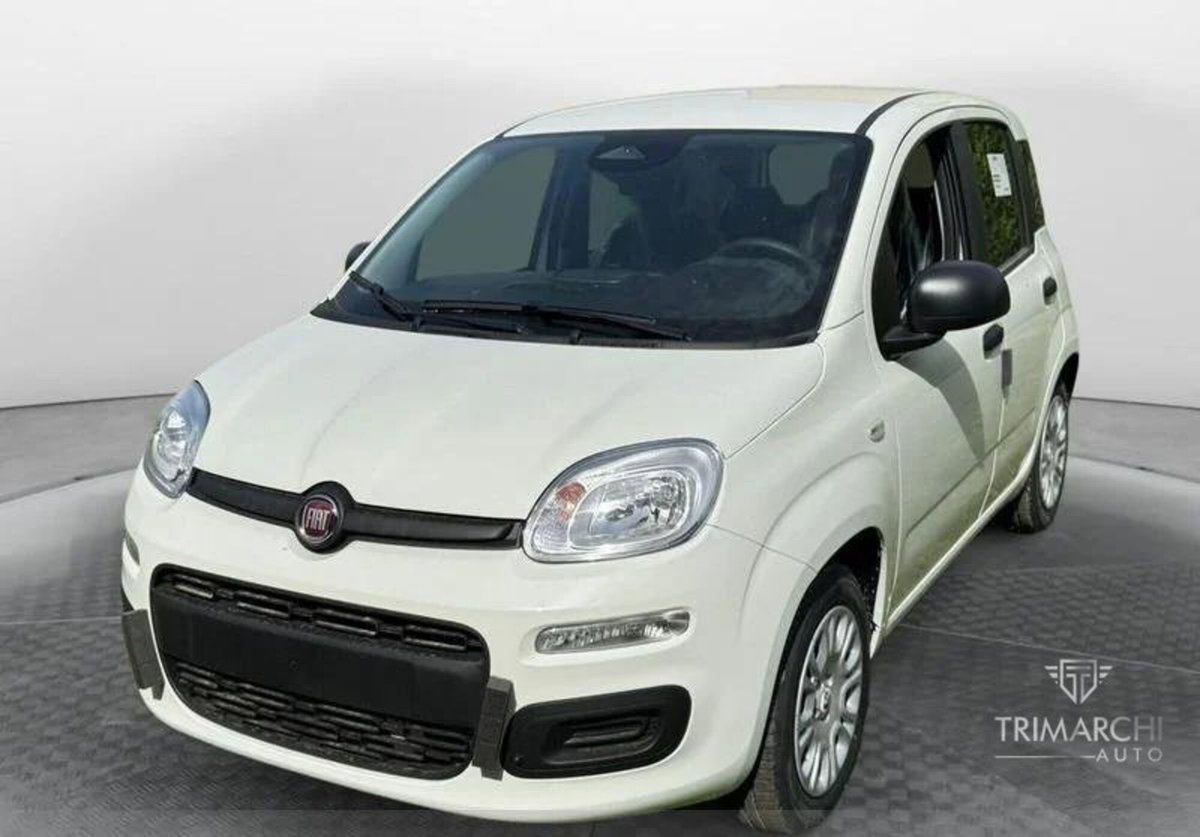 Fiat Panda Cross Cross 1.0 FireFly S&S Hybrid (2)