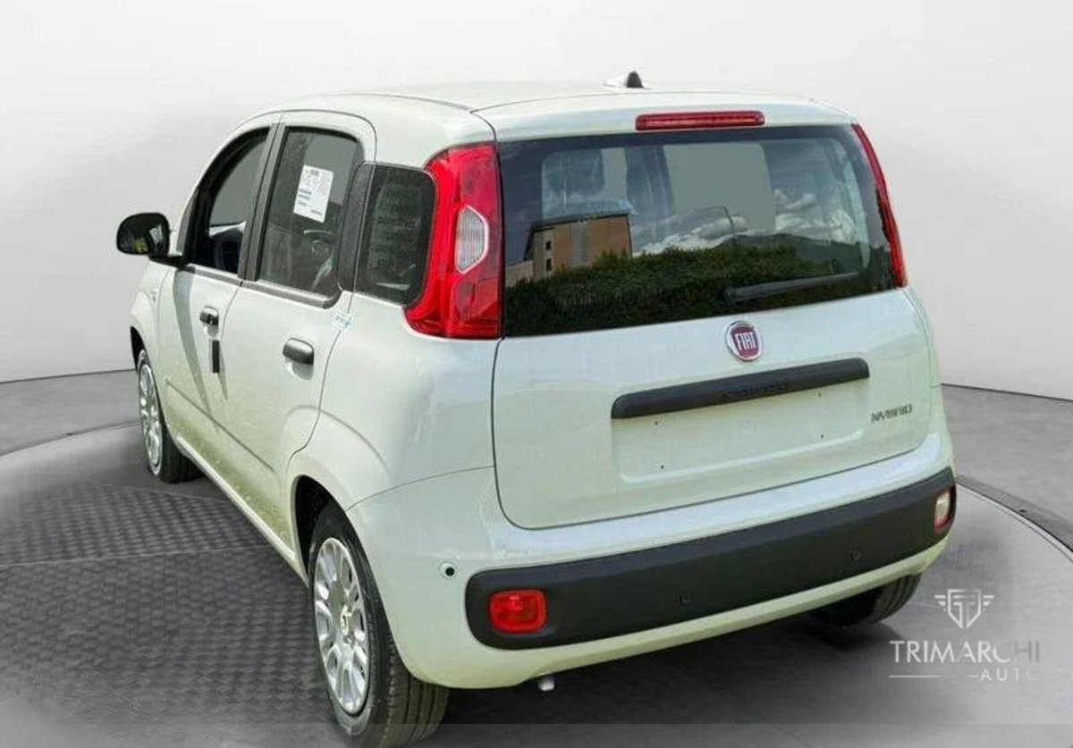 Fiat Panda Cross Cross 1.0 FireFly S&S Hybrid (3)