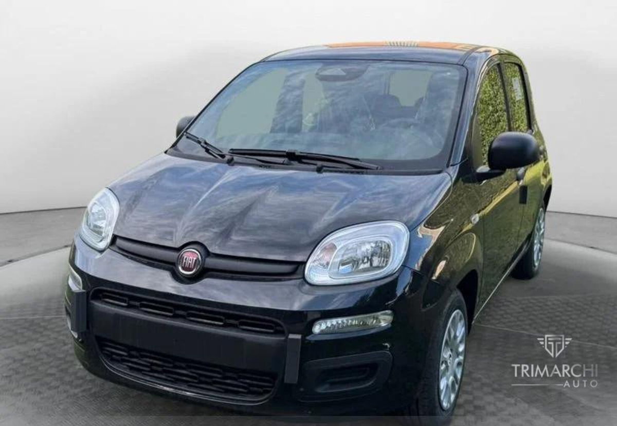 Fiat Panda Cross Cross 1.0 FireFly S&S Hybrid (4)