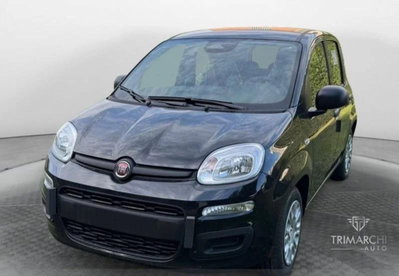 Fiat Panda Cross Cross 1.0 FireFly S&S Hybrid (4)