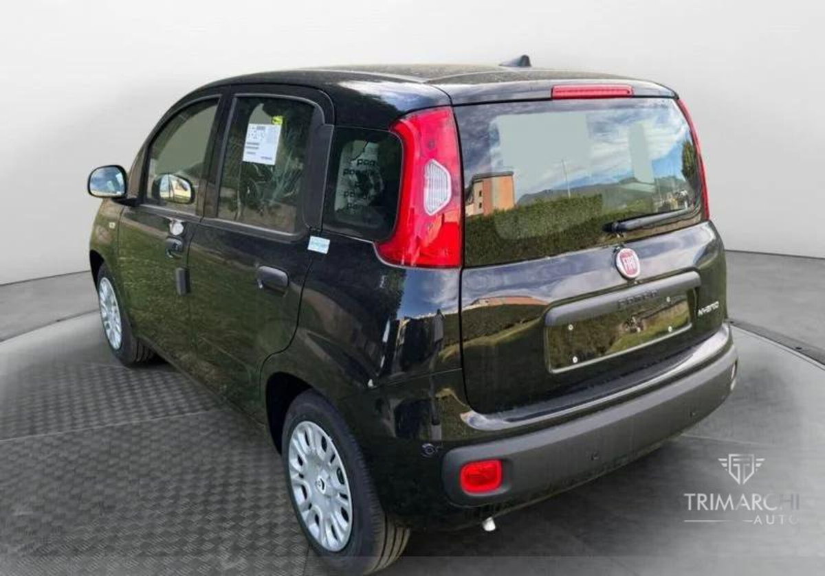 Fiat Panda Cross Cross 1.0 FireFly S&S Hybrid (5)