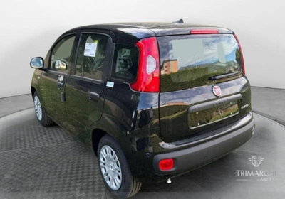 Fiat Panda Cross Cross 1.0 FireFly S&S Hybrid (5)
