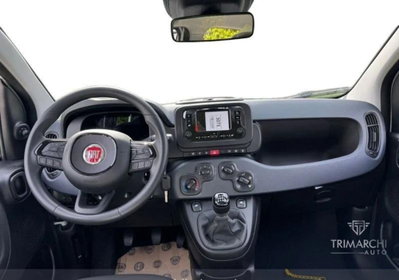 Fiat Panda Cross Cross 1.0 FireFly S&S Hybrid (6)