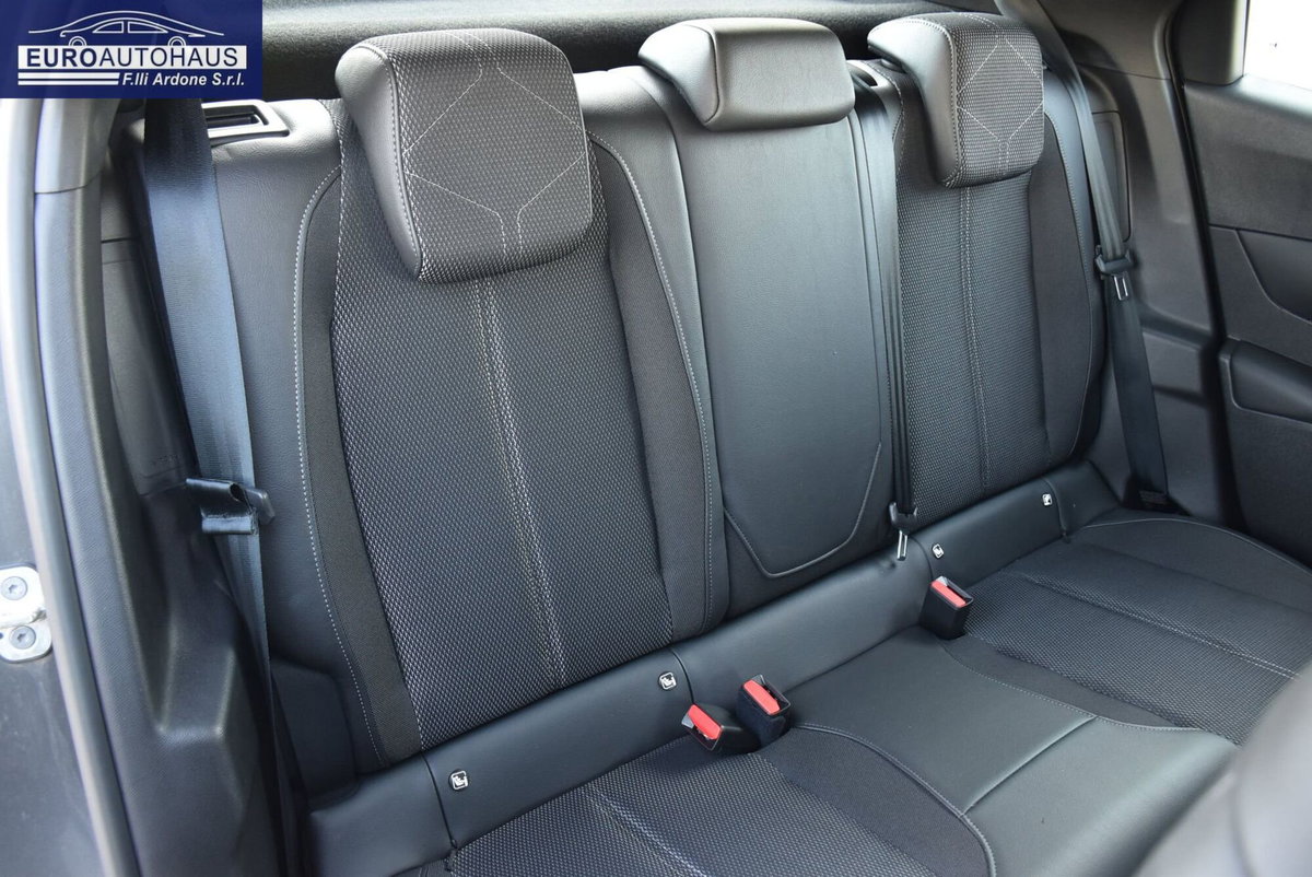 Ds DS 3 1.5 bluehdi Bastille Business 130cv auto (14)