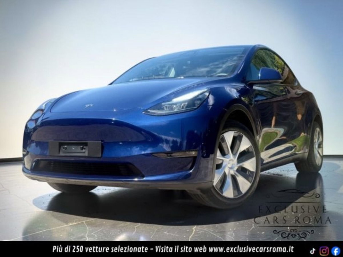Tesla Model Y Long Range Dual Motor awd