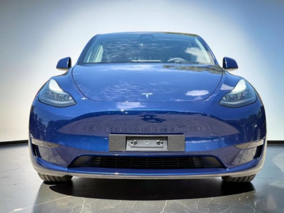 Tesla Model Y Long Range Dual Motor awd (2)