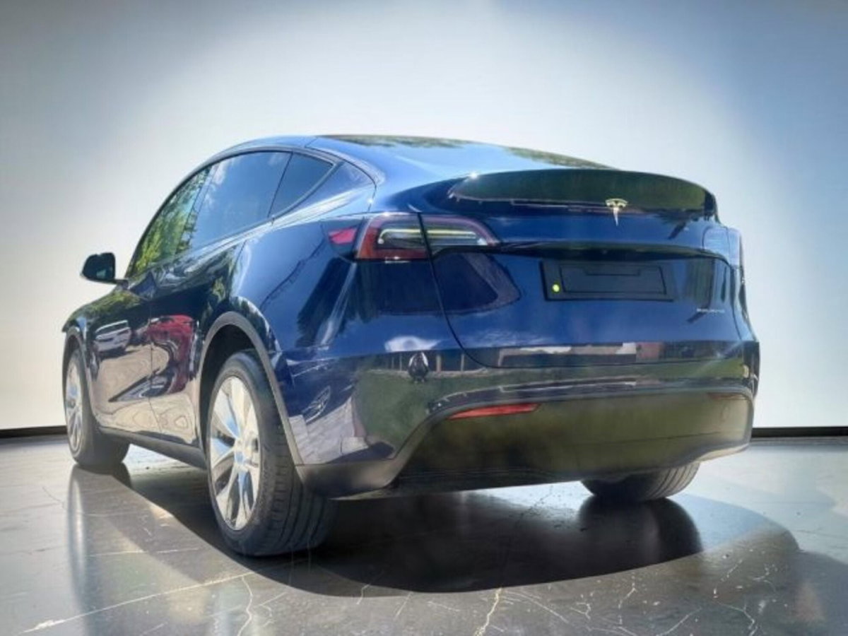 Tesla Model Y Long Range Dual Motor awd (5)