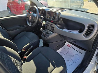 Fiat Panda 1.0 firefly hybrid s&s 70cv 5p.ti (10)