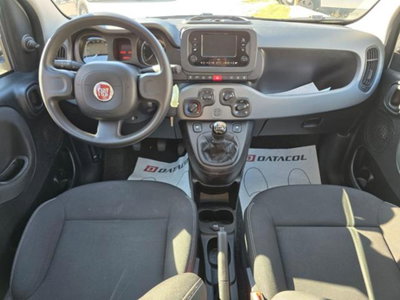 Fiat Panda 1.0 firefly hybrid s&s 70cv 5p.ti (11)