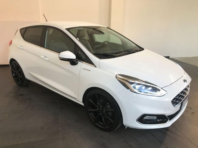 Ford Fiesta 1.0 Ecoboost 125 CV 5 porte Vignale (3)