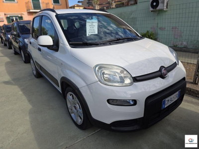 Fiat Panda 1.0 FireFly S&S Hybrid City Cross usata